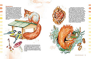 Animals in the City. Where to Find Them and How to Recognize Them