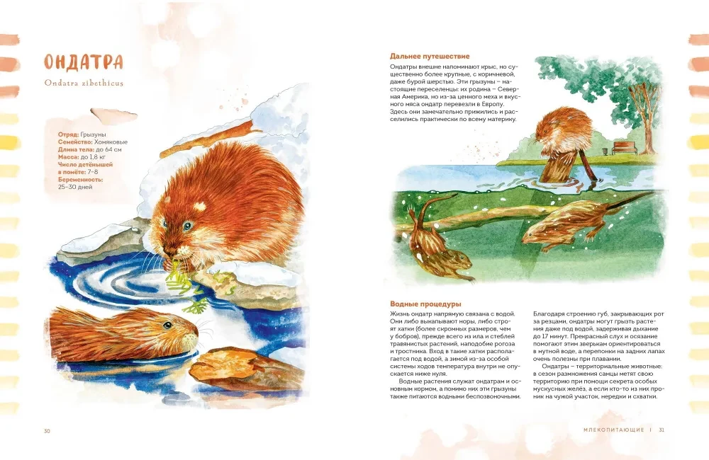 Animals in the City. Where to Find Them and How to Recognize Them