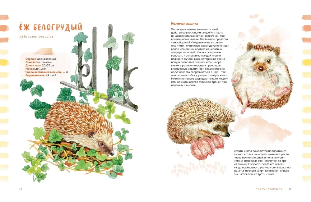 Animals in the City. Where to Find Them and How to Recognize Them