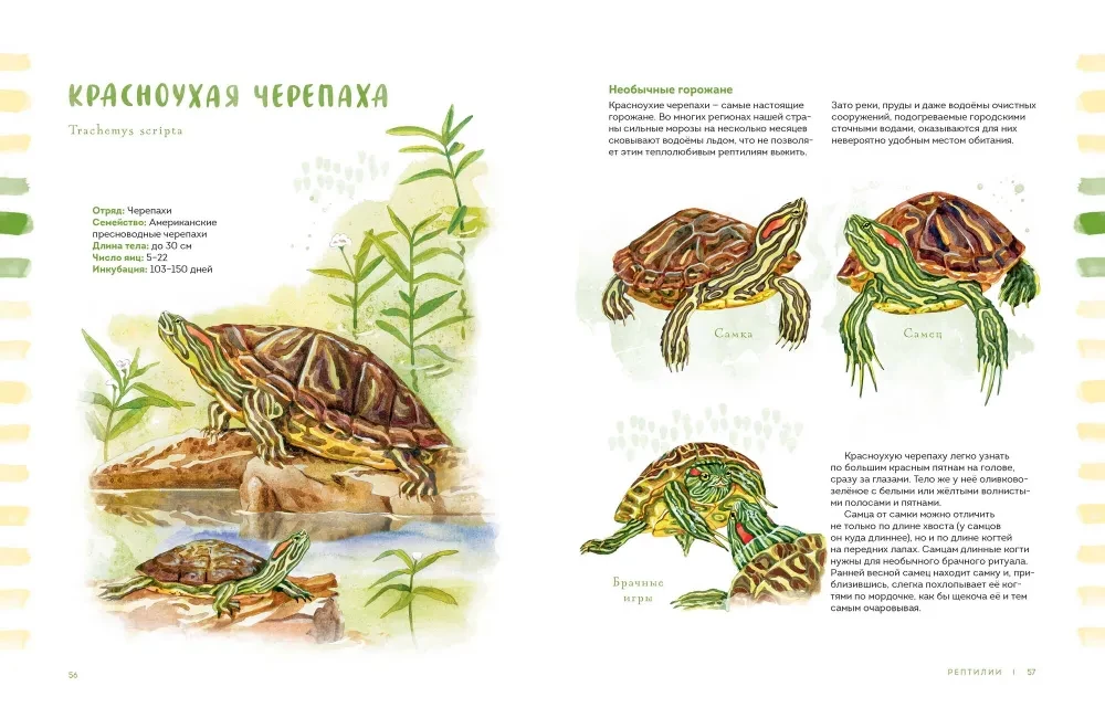 Animals in the City. Where to Find Them and How to Recognize Them