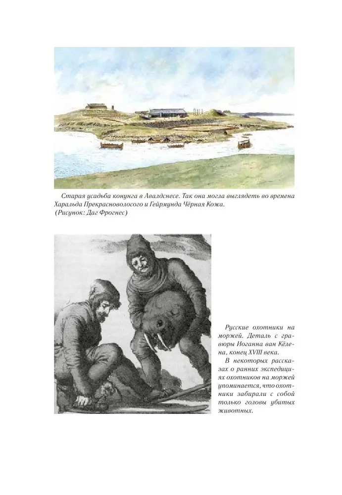 Juodasis vikingas