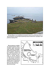 Juodasis vikingas