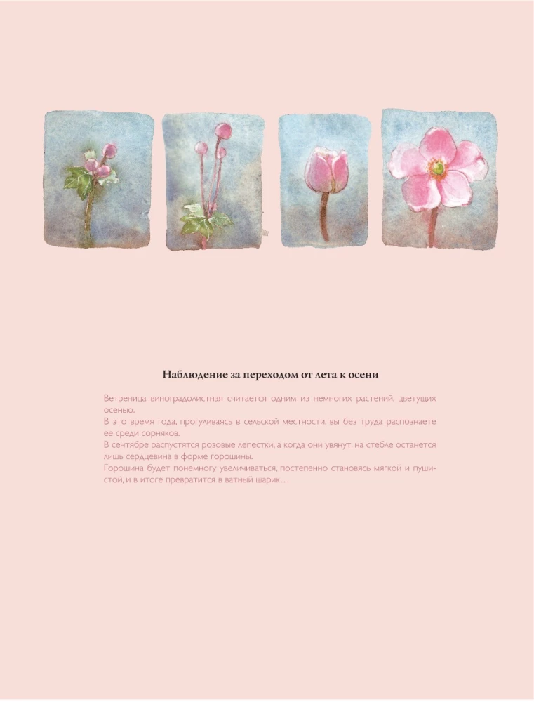 My Life in Watercolor. An Inspirational Guide to Creating Watercolor Paintings for Every Day
