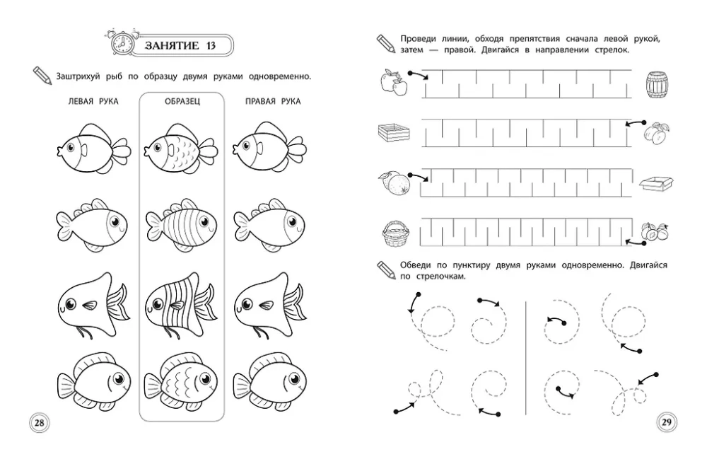 Entwicklung der interhemisphärischen Interaktion: für Kinder von 5-6 Jahren