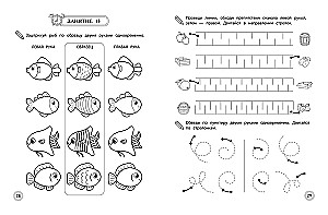 Entwicklung der interhemisphärischen Interaktion: für Kinder von 5-6 Jahren