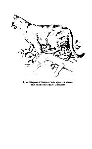 Namų veterinarijos vadovas katės savininkams