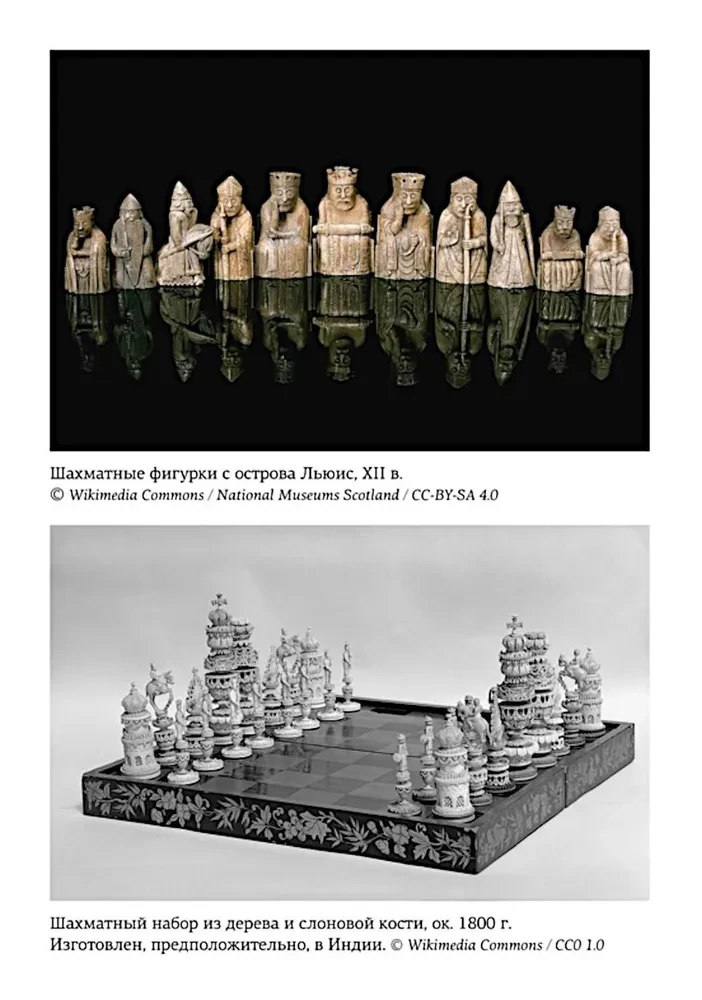 The Birth of the Chess Queen: The Power and Triumph of Women Who Ruled the Board and Life