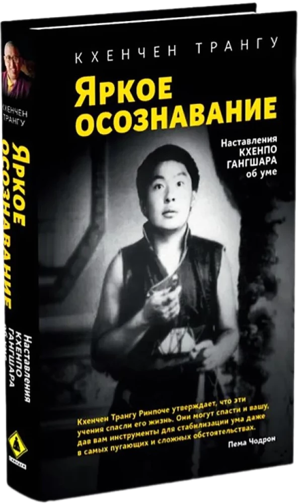 Helle Erkenntnis. Lehren von Khenpo Gangshar über den Geist