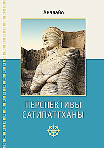Satipatthana perspektyvos