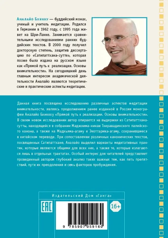 Satipatthana perspektyvos