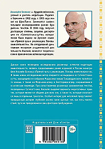 Satipatthana perspektyvos