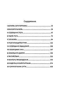 Satipatthana perspektyvos
