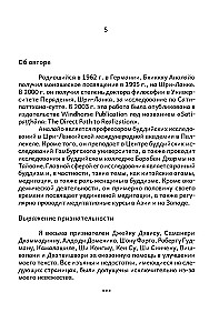 Satipatthana perspektyvos
