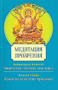 Meditācija ieskatu