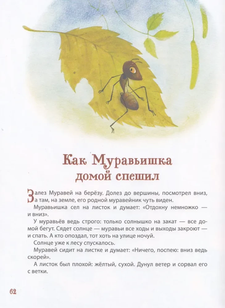 Leśne historie. Bajki o zwierzętach