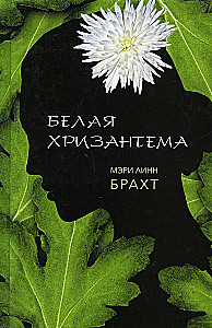 Biała chryzantema