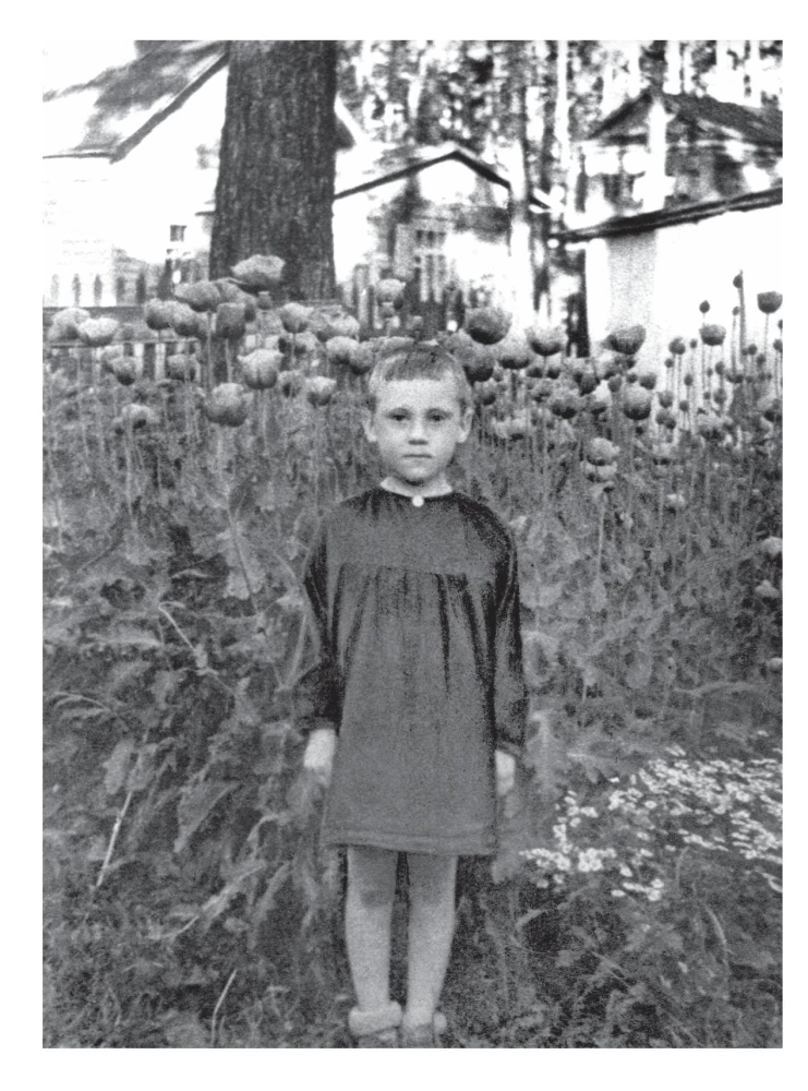 Vladimir Vysotsky. Everyone has their own... The creative life and biography of the poet