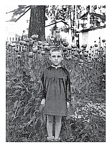 Vladimir Vysotsky. Everyone has their own... The creative life and biography of the poet