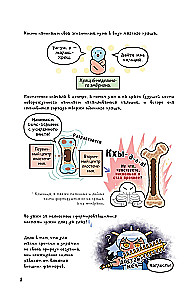Even More Visual Anatomy