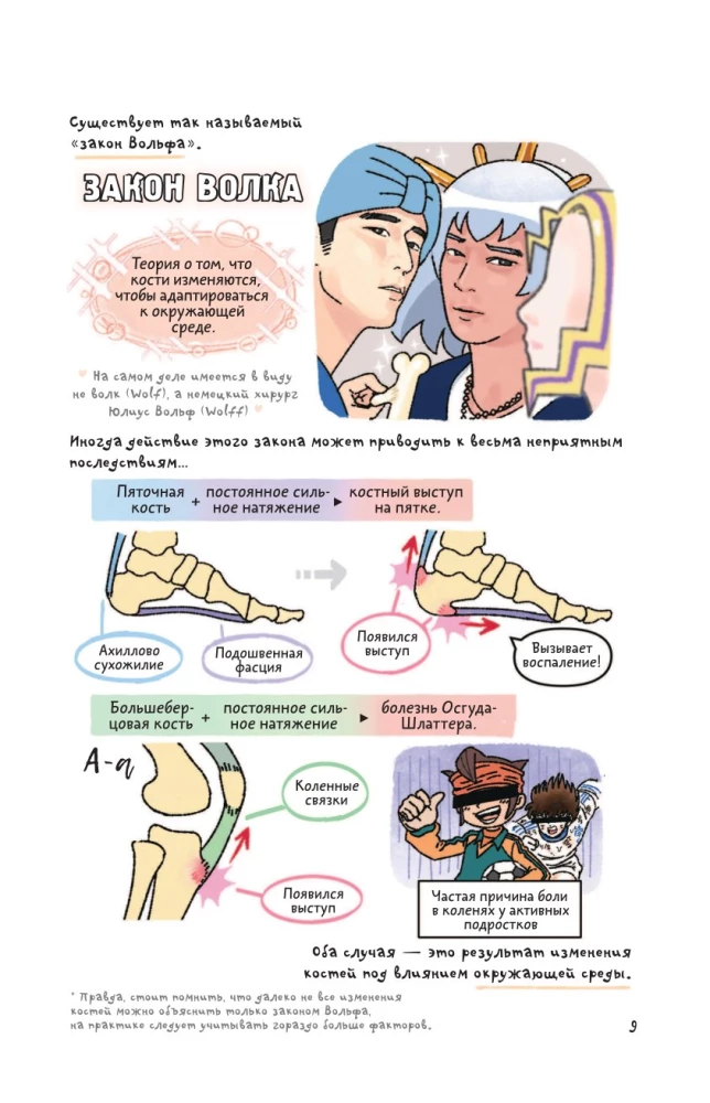 Even More Visual Anatomy
