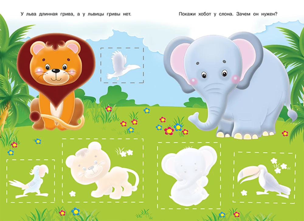 Aplikacja. Zoo