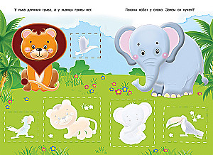 Aplikacja. Zoo