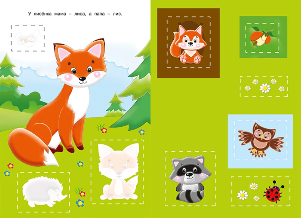 Application. Forest Animals