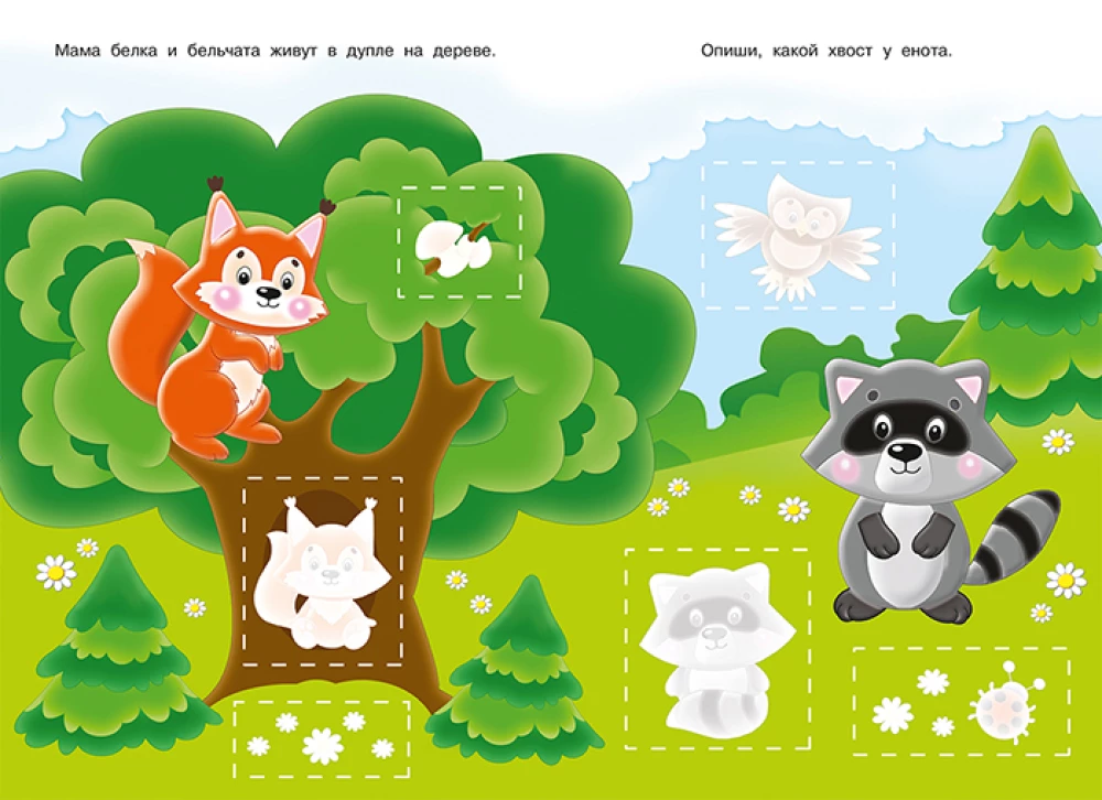 Application. Forest Animals