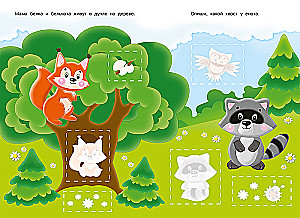 Application. Forest Animals