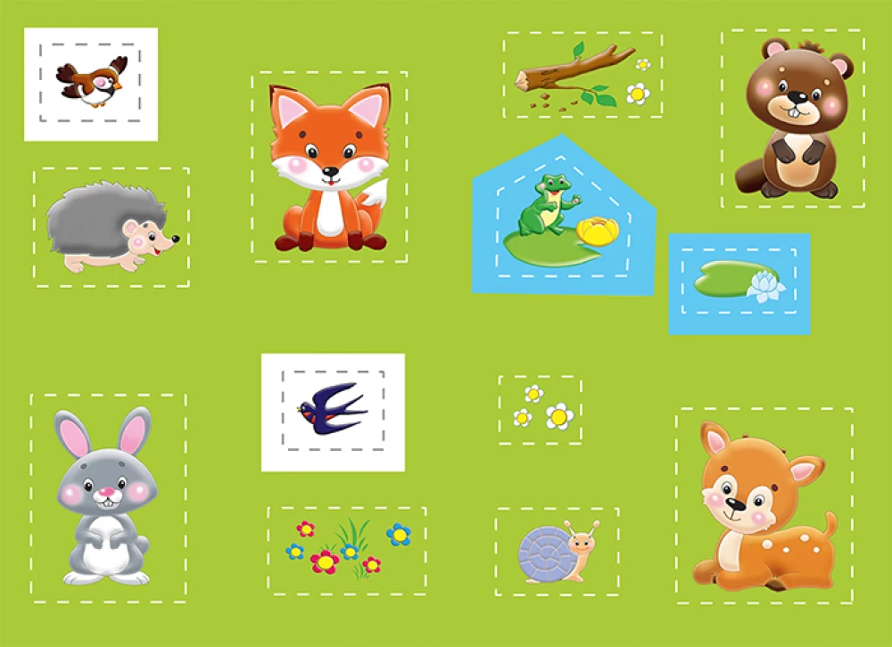 Application. Forest Animals