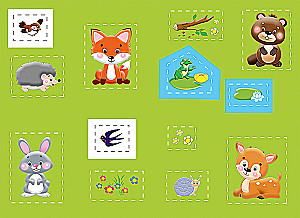 Application. Forest Animals