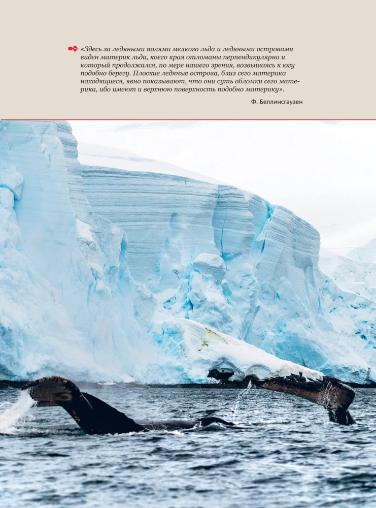 Antarctica. The History of the Study of the Icy Continent