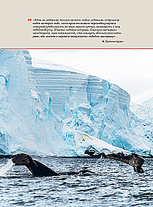 Antarctica. The History of the Study of the Icy Continent