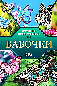 Butterflies. Illustrated Guide