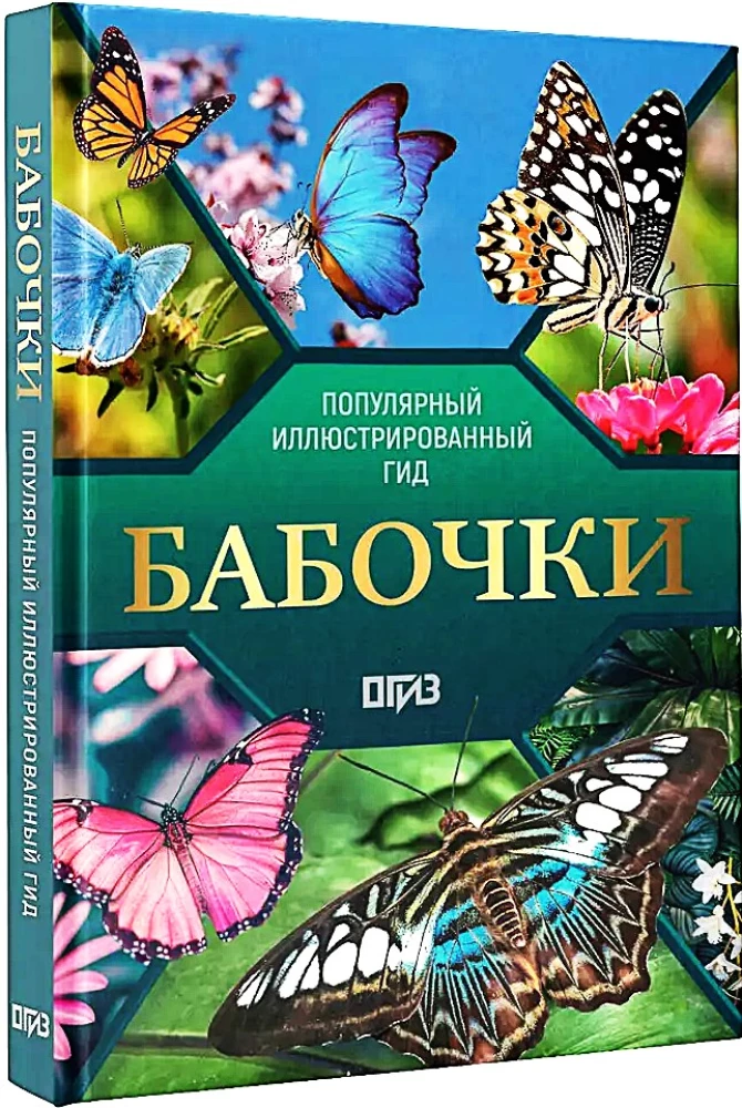 Butterflies. Illustrated Guide