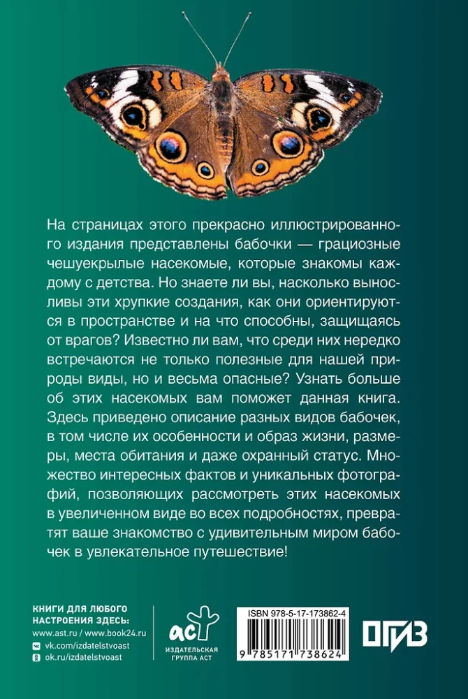 Butterflies. Illustrated Guide