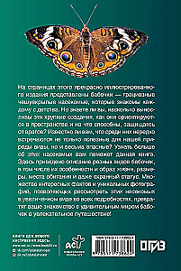 Butterflies. Illustrated Guide