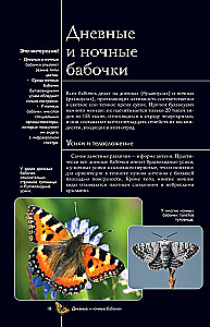 Butterflies. Illustrated Guide