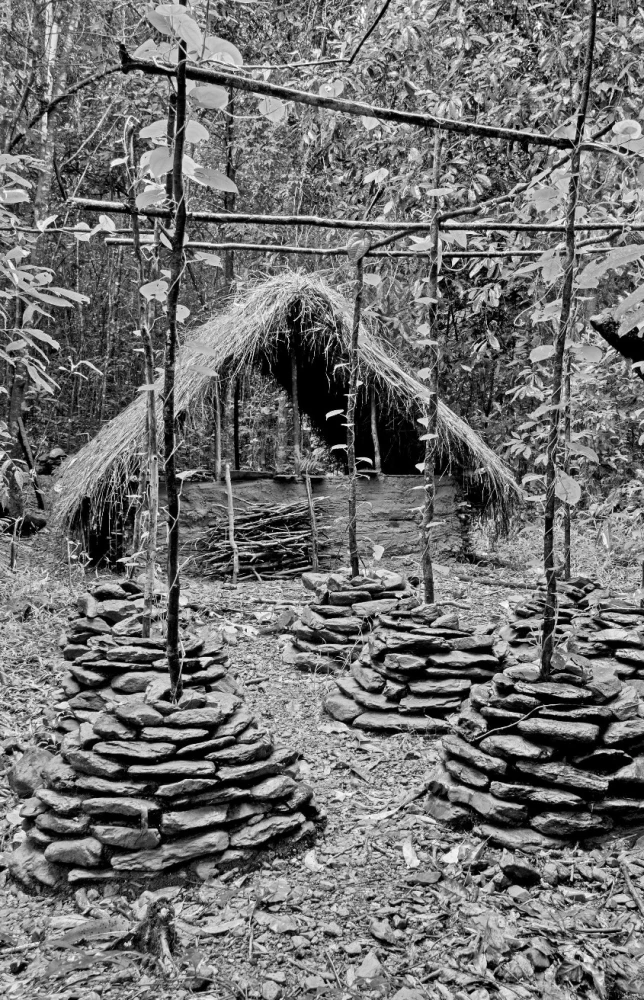 Primitive Technologies. A Guide from a Wilderness Survival Expert