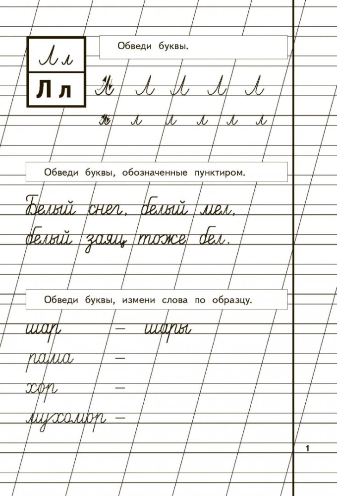 Schreibhefte für Kinder von 6-8 Jahren zum Lehrbuch von Zhukova. Set von drei Schreibheften