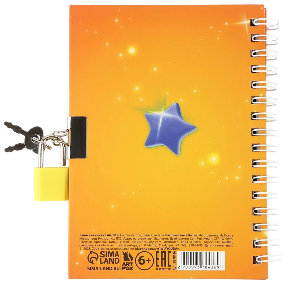 Locked Notebook - There Should Be Many Good Kittens, A6, 50 Sheets