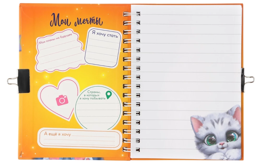 Locked Notebook - There Should Be Many Good Kittens, A6, 50 Sheets