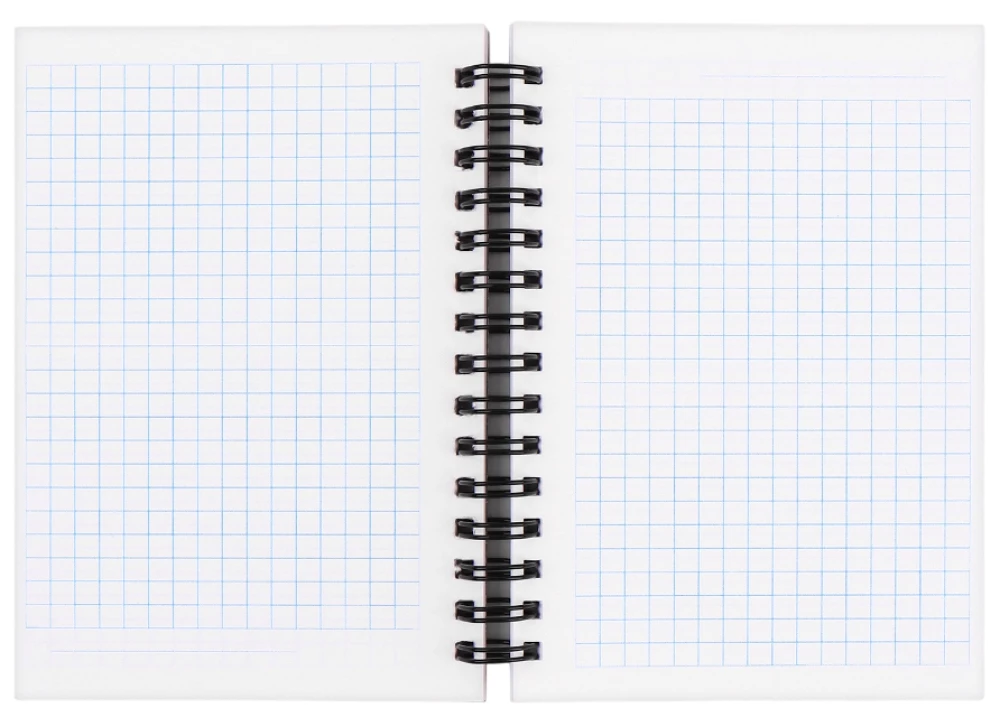 Notebook - Memes Cats, 100 sheets, in a grid