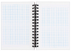 Notebook - Memes Cats, 100 sheets, in a grid