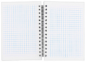 Notebook - My diary, 100 sheets, in grid