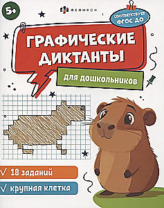 Książka z zadaniami dla dzieci. Dyktanda graficzne 3
