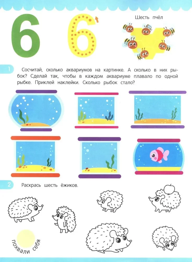 Account. Sticker Book (80 Stickers)