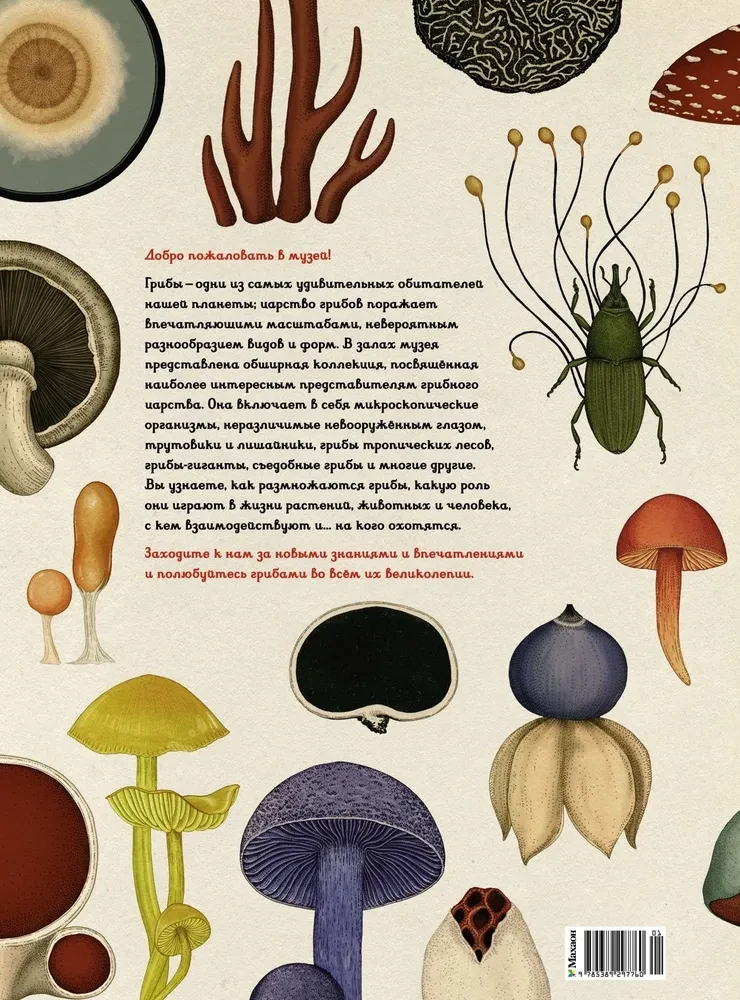 Musharium