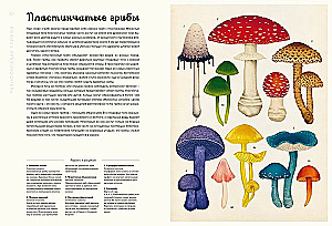Musharium