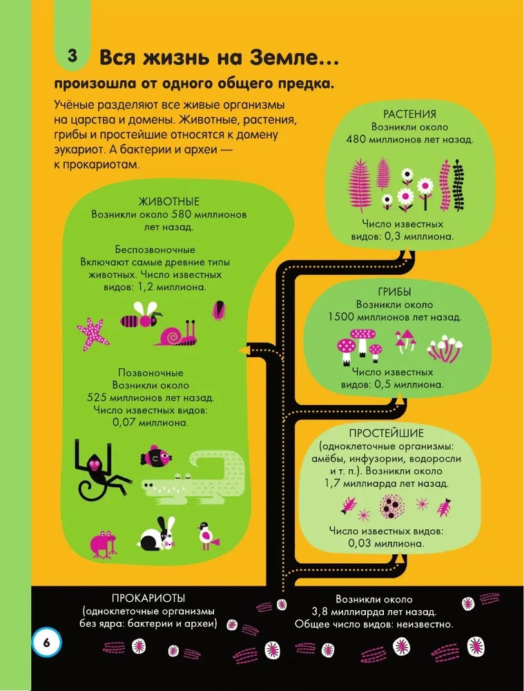 100 Curious Whys About Science